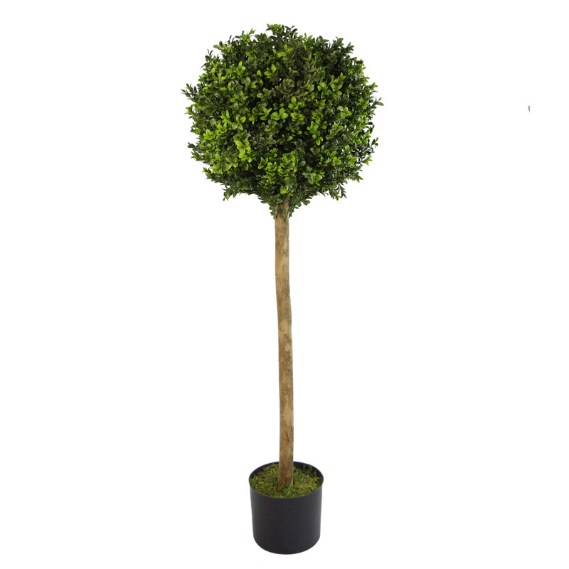 The Seasonal Aisle Topiary Bay Tree Wayfair.co.uk